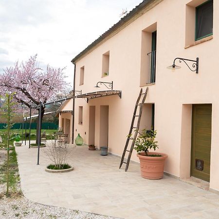 B&B Le Rondini Ostra Senigallia Casine  Ngoại thất bức ảnh
