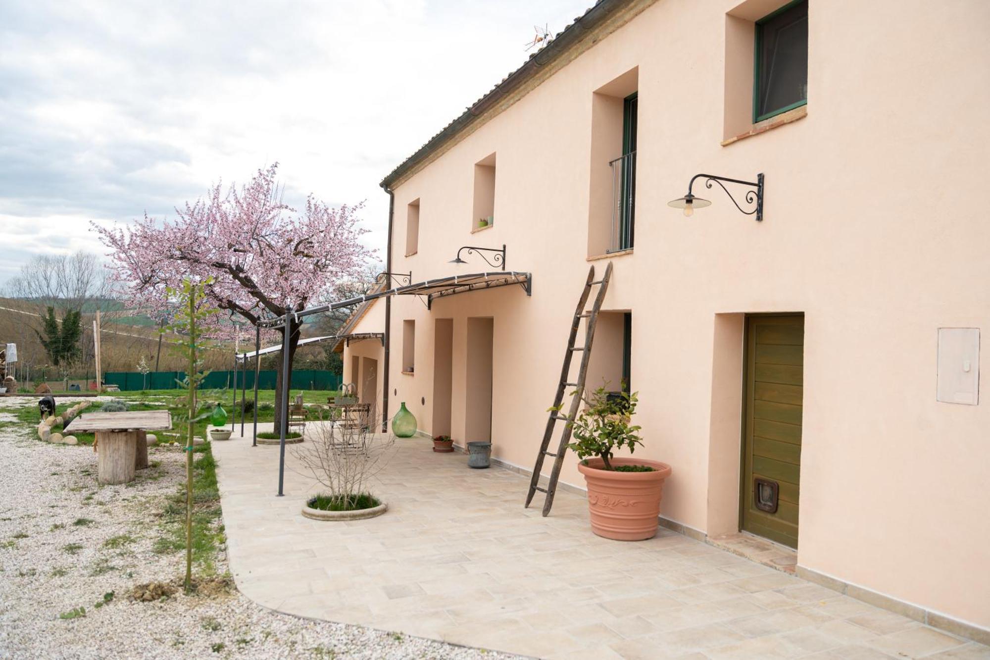 B&B Le Rondini Ostra Senigallia Casine  Ngoại thất bức ảnh