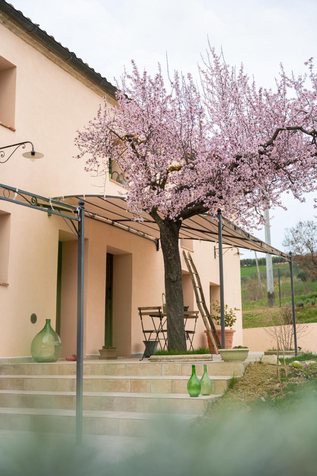 B&B Le Rondini Ostra Senigallia Casine  Ngoại thất bức ảnh